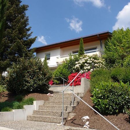 Schwarzwaelder Ferienwohnungen Seelbach  Exterior photo