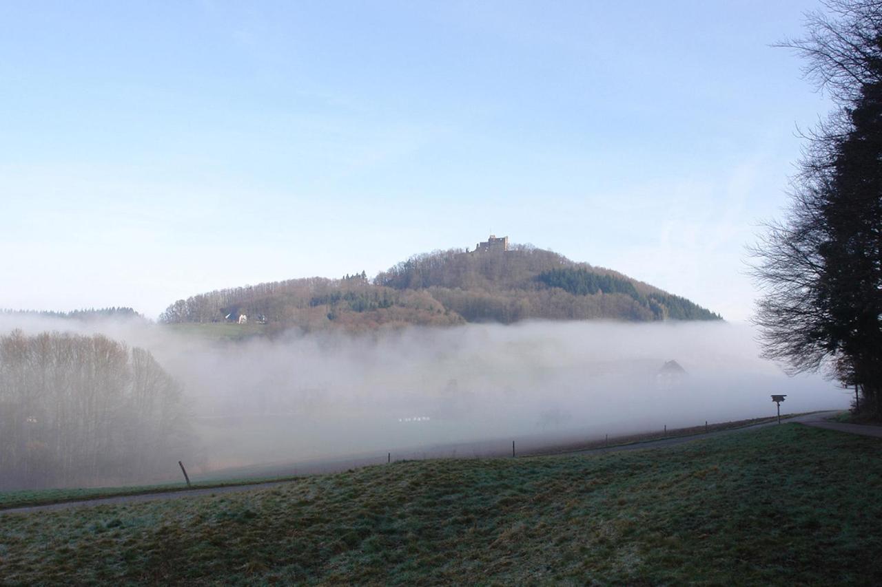 Schwarzwaelder Ferienwohnungen Seelbach  Exterior photo